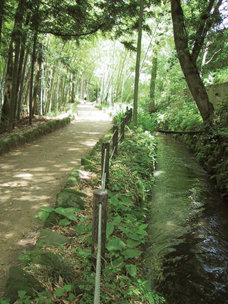 　１６３２（寛永９）年、３代利常が小松の町人板屋兵四郎に命じ、金沢城への導水ために開削させたと言われている。２０１０（平成２２）年２月、国史跡に指定された。対象は犀川・東岩取水口（金沢市上辰巳町）から兼六園までの延長１１キロのうち、暗渠や流路が変更されている部分を除く約８・７キロ。全長２６０メートルの三段石垣も対象に含まれ、面積は約１４万７０００平方メートルとなる。
　江戸時代に開削された全国の都市用水で、辰巳用水のように飲料を目的としなかった用水は珍しく、土木技術史の観点からも貴重な史料として位置づけられる。高低差で生じた水圧を利用して水を流す「逆サイホン方式」をはじめ、いくつもの横穴から両側に掘り進んでつなげた隧道、緩やかな勾配などは当時の高い土木技術を物語っている。
　辰巳用水は、城の辰巳（東南）にあたる犀川上流部に水源を求めたことがその名の由来と言われている。当初、取水口は城から約１０・５キロ離れた上辰巳町雉（きじ）に設けられたが、その後約１３０メートル上流のめおと滝対岸に付け替えられ、１８５５（安政２）年には取水量を増やす目的でさらに約６００メートル上流の、現在の東岩へと移された。
　現在、上流部約４・７キロは岩盤をくり貫いた隧道となっている。隧道は断面馬蹄形で高さ幅ともに約１間（約１・８メートル）で、約２０～３０メートルおきに犀川に面した崖面に向けて横穴が開けられており、これにより工区の細分化・工期の短縮を図ったとされている。隧道内の壁面には灯明を置いた窪み穴（タンコロ穴）が掘られている。
　城内への導水には標高の低い百間堀の土手を通過するために、「伏越（ふせこし）の理（ことわり）」（逆サイホンの原理）を利用して金沢城石川門前土橋に木樋（もくひ）を埋設した。石川門前土橋の発掘調査では、兼六園と金沢城をつなぐ土手の中から、当初埋設された木樋の他、１８４３（天保１４）年から行われた改修で埋設された越中金屋石製の石管が見つかった。
　この用水が建設された目的は、金沢城の防火および城内の水堀化による防御力の強化といわれているが、以後沿線の新田開発が進み、のちには土清水塩硝蔵（つっちょうずえんしょうぐら）などで火薬製造の際の水車の動力源としても活用された。現在も兼六園の園池を満たす水源として重要な役割を果たしている。
　沿線には辰巳用水が流れる崖面を保護する延長約２６０メートル、高さ約２・５～７メートルの三段石垣や、発掘調査で確認された開渠用水の旧路などの遺構も残っており、構築以来現在まで絶え間なく管理・利用されてきた貴重な歴史的用水であることを物語っている。