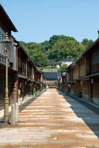 　１８２０（文政３）年に茶屋町が設けられ、いったん廃止された後、幕末に再度公認された。伝統的建造物９７件を数える。重要伝統的建造物群保存地区。選定面積約１.８ヘクタール。
　地区は金沢城の北東、浅野川の東側に位置し、南北約１３０メートル、東西約１８０メートルの範囲で、文政３年、加賀藩の許可を得て、「ひがし」の茶屋町として創設された。地区の形態は、１８１１（文化８）年と１８２０（文政３）年の絵図の比較から、公許にともない町割が根本的に改められたことがわかり、通りに接して間口の狭い縦長の敷地割が行われた。
　茶屋全体の外周には囲いが廻っていたと考えられ、地区西側のほぼ中央に表木戸を設けて正面とし、裏木戸を南東の隅に設け、北東隅には天満宮と呼ばれる鎮守社が置かれていた。その後、１８３１（天保２）年に茶屋町は一旦廃止されていたが、１８６７（慶応３）年に再び茶屋町として公認され、それ以降は東新地と呼ばれて活況を呈し、希少な茶屋の文化を今日に伝えている。
　地区内の建造物のうち約３分の２が茶屋町創設から明治初期に建設されたものと考えられ、その約９割は茶屋様式の２階建て町家で、１階正面の出格子には細かい割の格子（キムスコ）を備え、２階は座敷を通り側に置くため、正面が高く造られ、表側に縁を通し雨戸を引き通す形式で、金沢の町家の特徴となっている。
　屋根は切妻造平入りの石置の板葺き屋根だったが、現在は屋根を防火構造とするため、桟瓦葺きとするか、金属板葺きとしている。屋根勾配が緩い金属板葺きの屋根は、建設当初の板葺きの勾配を残し、鼻隠板（はなかくしいた）を付けるなど古い形式を現在に残している。
　地区は、江戸後期の茶屋町創設時の敷地割をよく残すとともに、今日では全国でも希少な茶屋の様式の意匠的に優れた建造物が多数残っている。特に、正面の格子の意匠などには茶屋町の繊細かつ華美な様式がみられ、２階正面を高くして軒高をそろえた町家が通りの両側に連続して建ち、茶屋町の特徴ある景観をよく今日に伝えている。