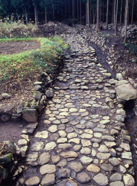 白山平泉寺旧境内より発掘された中世の石畳道